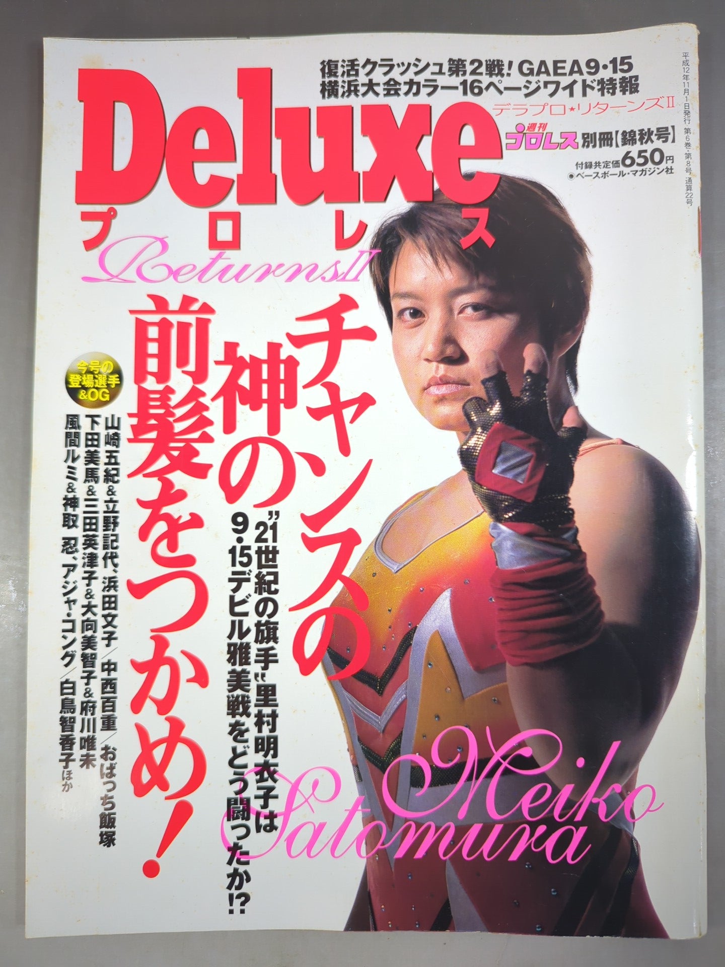 デラックスプロレス22 週刊プロレス別冊【錦秋号】