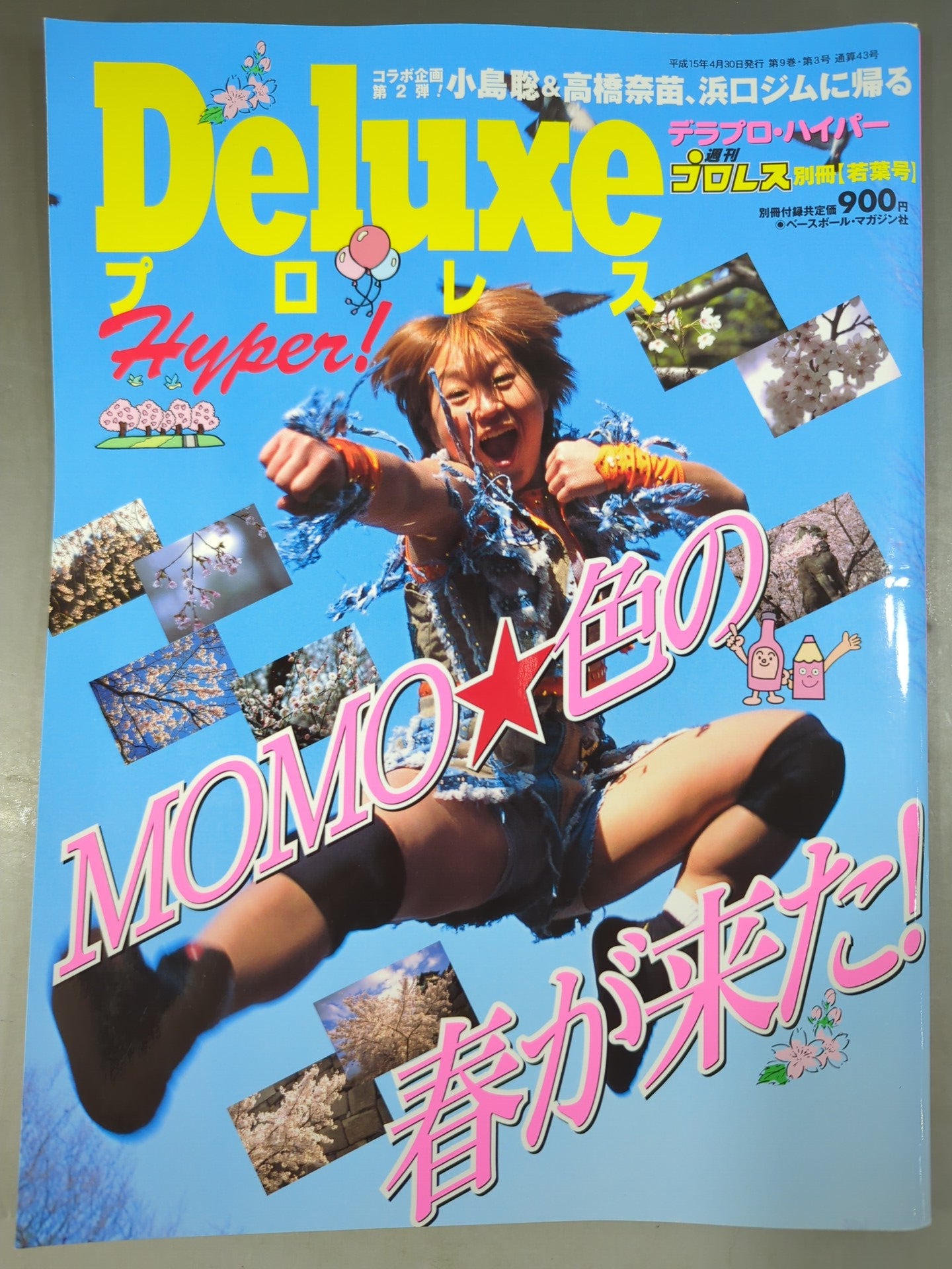 デラックスプロレス43 週刊プロレス別冊【若葉号】