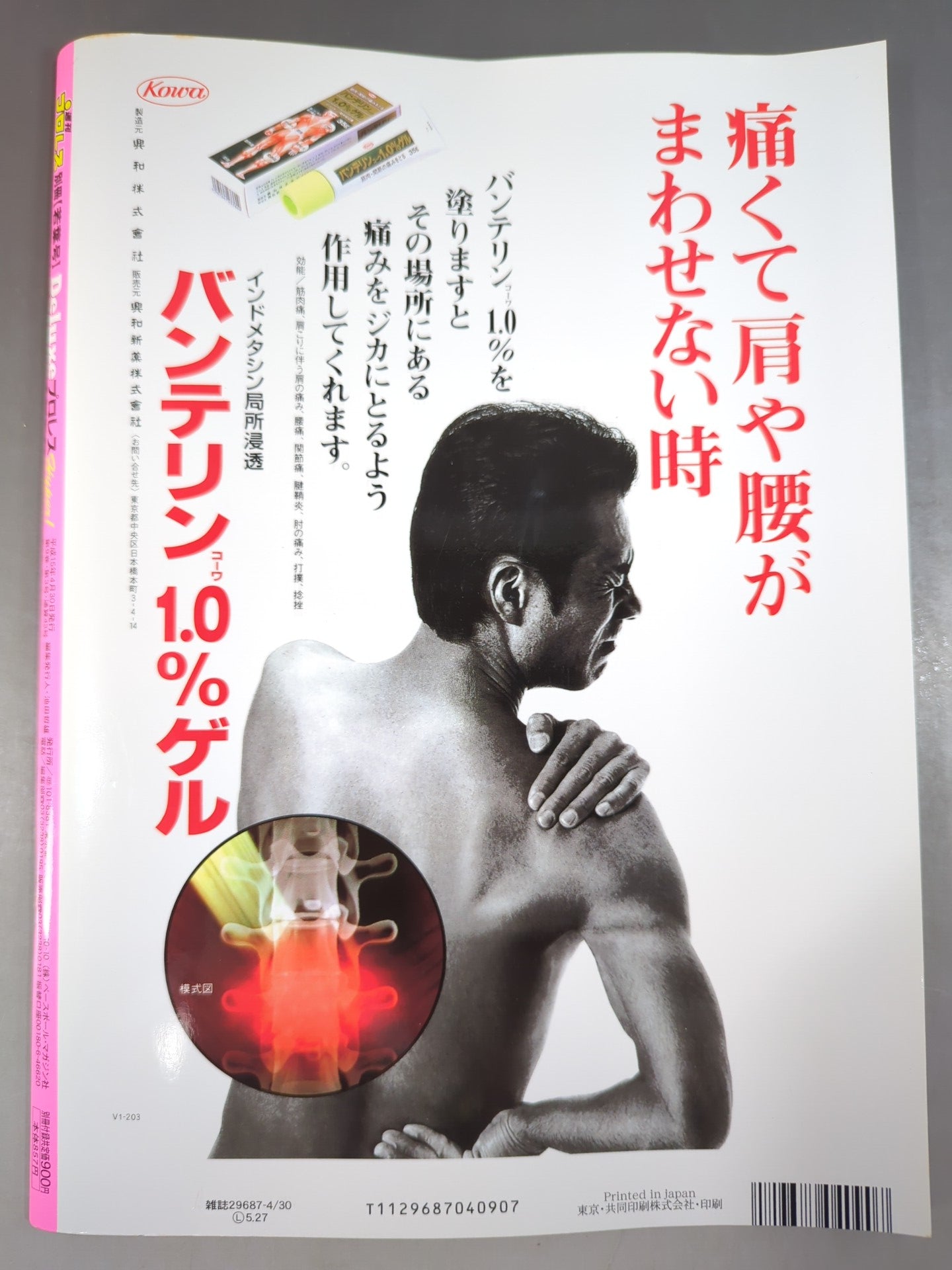 デラックスプロレス43 週刊プロレス別冊【若葉号】