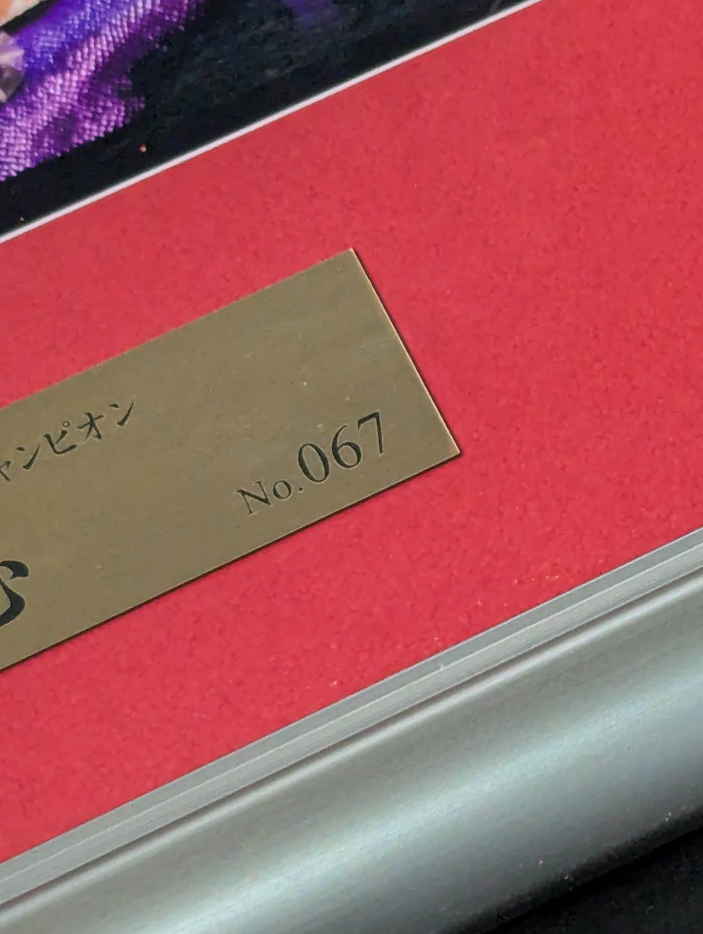 中野たむ サイン入りフォトフレーム 二冠記念 スターダム Stardom 中野たむ & なつぽい 直筆サイン入り 記念フォト