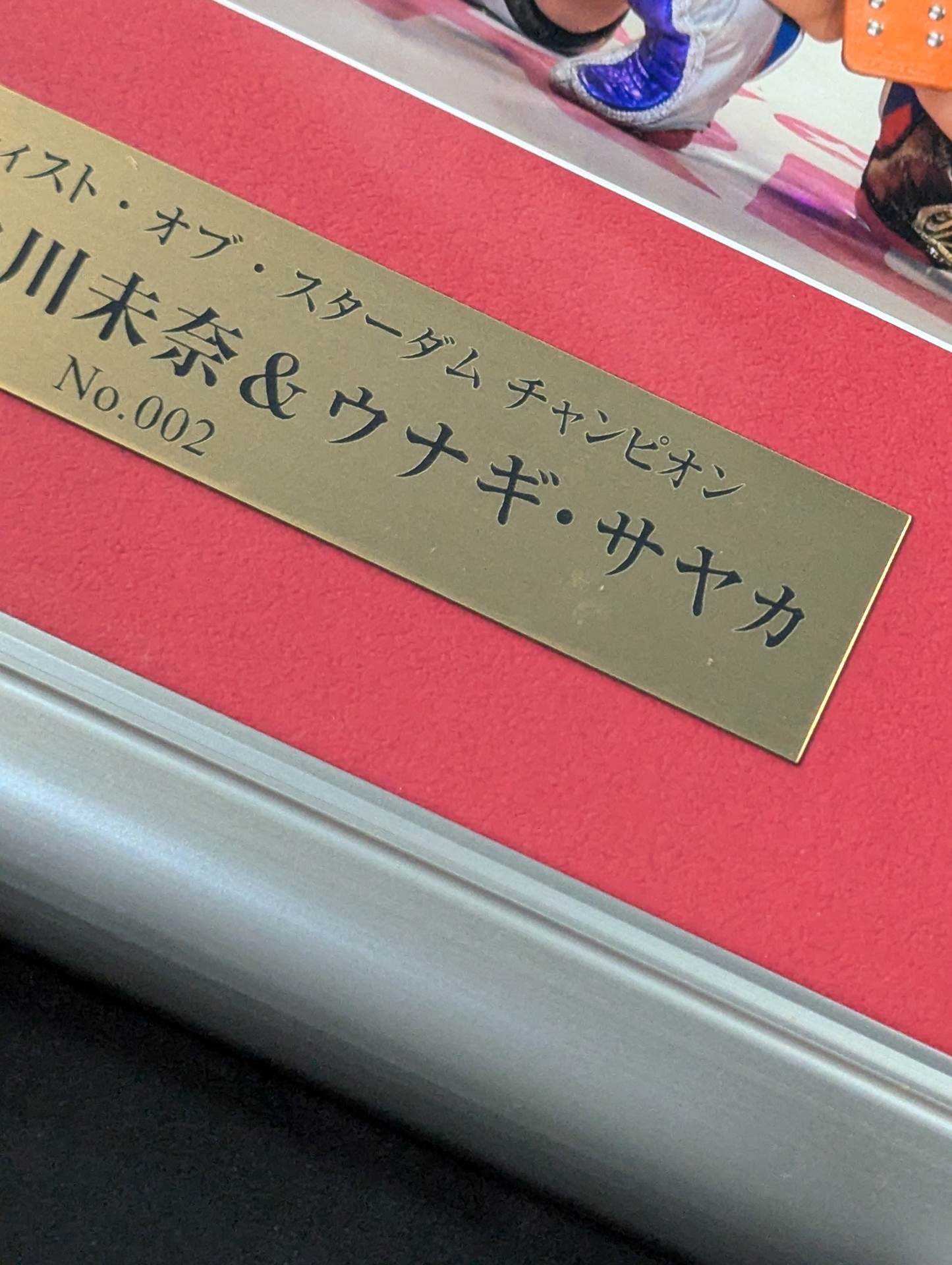 なつぽい直筆サイン入り記念フォトフレーム 第23代ワンダー・オブ・スターダム 中野たむ＆なつぽい 直筆Wサイン入り 記念フォトフレーム