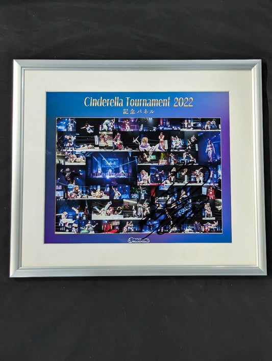 【中野たむ 直筆サイン入り】CINDERELLA TOURNAMENT 2022 記念パネル