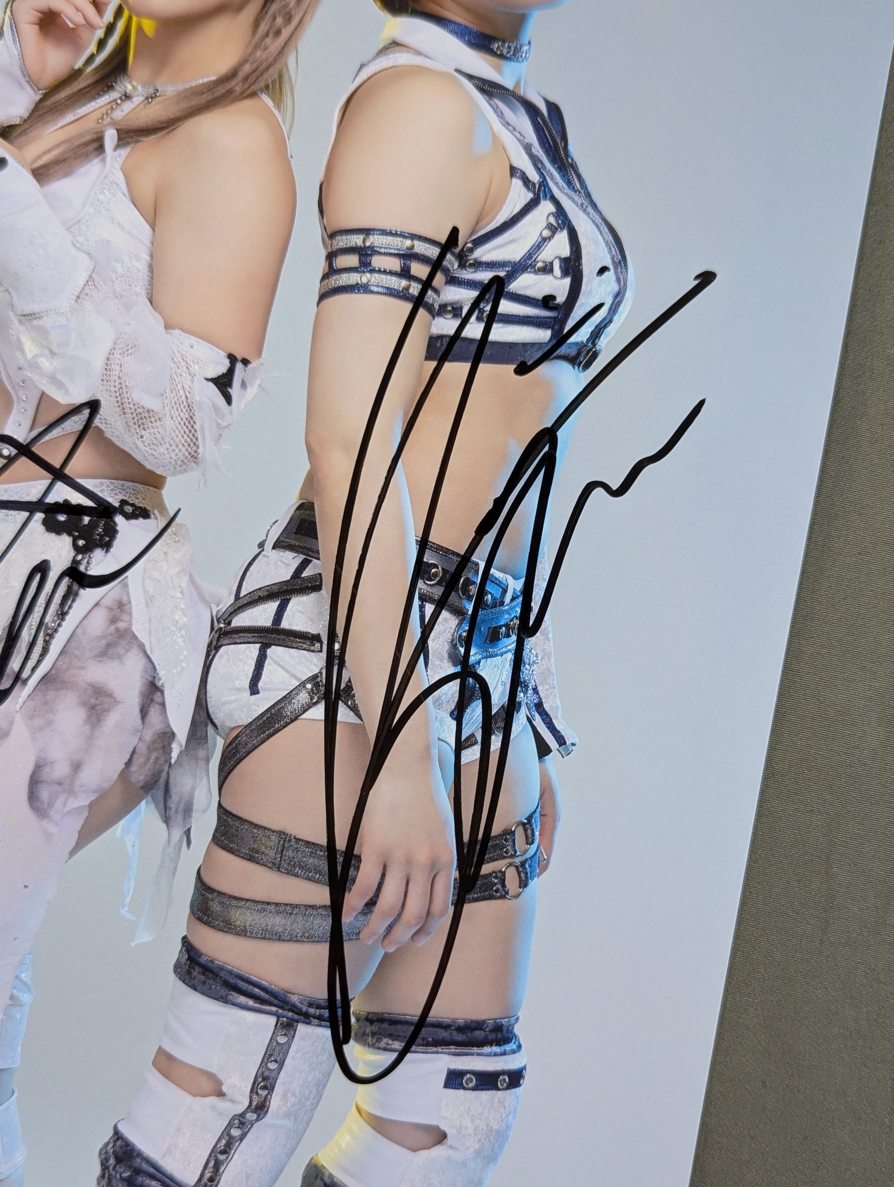 ☆10周年記念☆ 安納サオリ&なつぽい 直筆サイン入り ポート