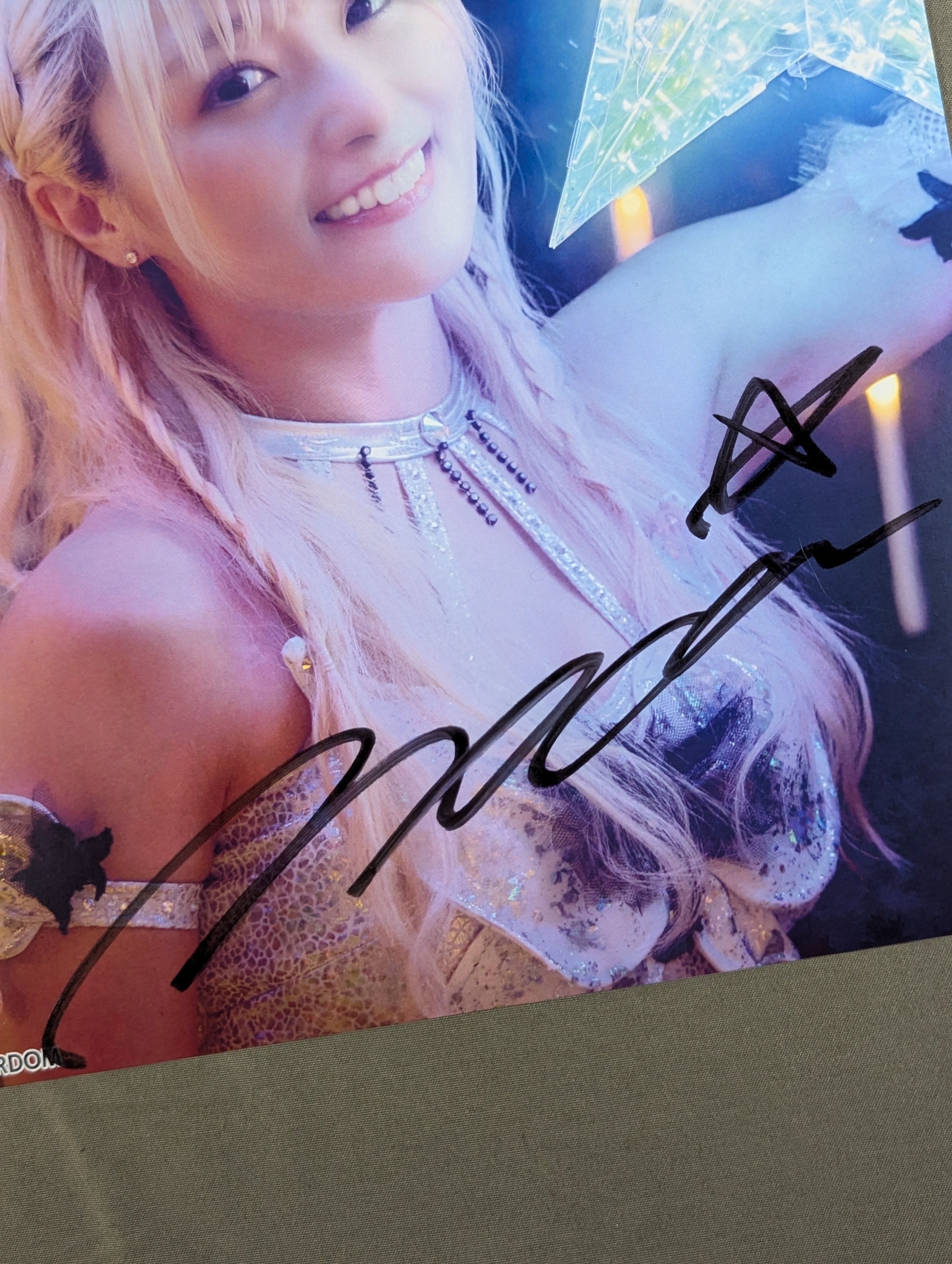 MTG【天上都市、大田原】alayna danner手描き装飾　直筆サイン入り MTG-アーティストプルーフ 宝石の睡蓮【Alayna Danner】 – Valの