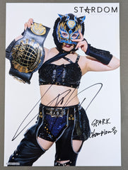 【査定済】スターダム　スターライトキッドマスク　直筆サイン入り スターライト・キッド 直筆サイン入り スターダムポートレート(B