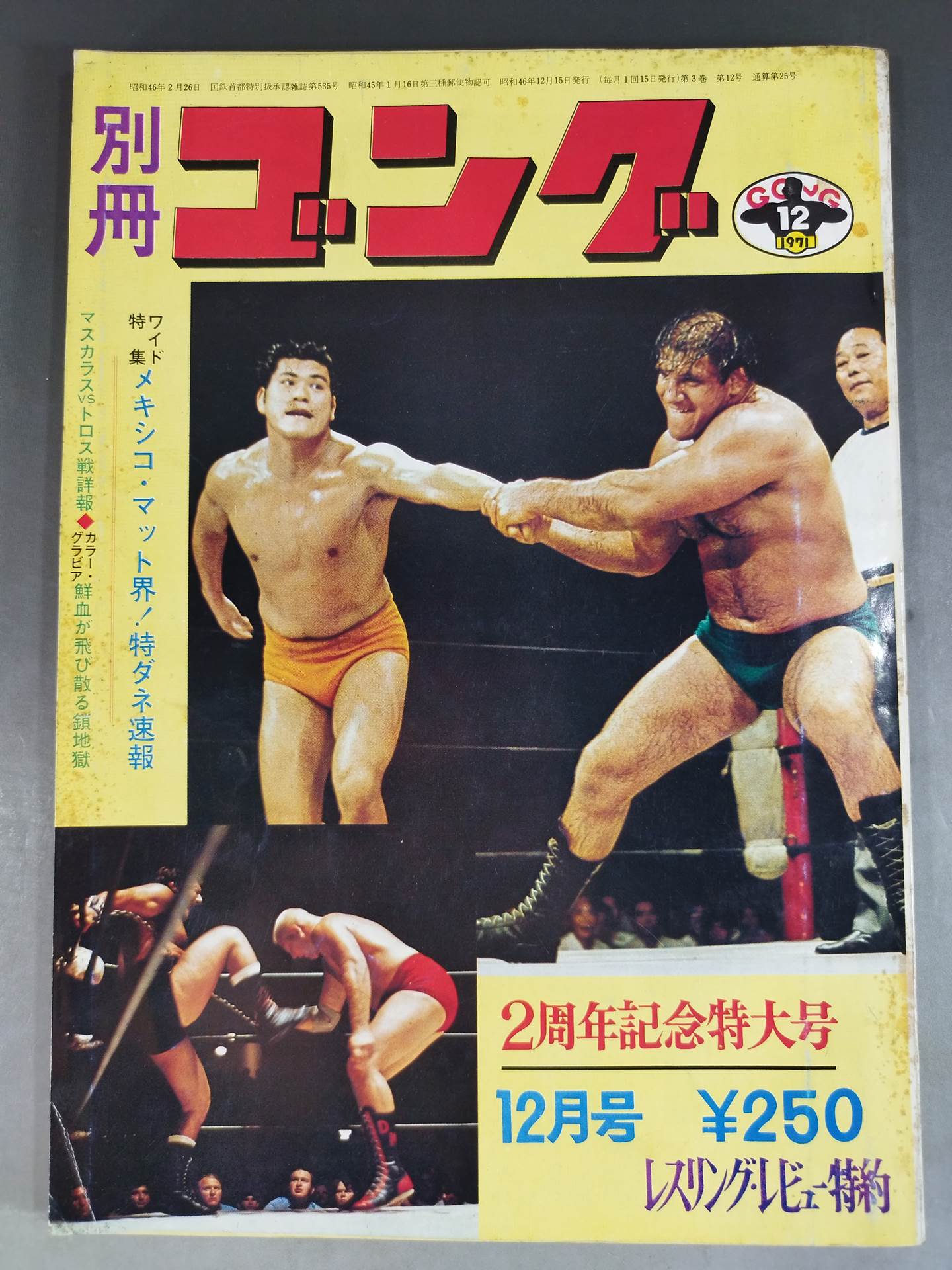 別冊ゴングVol.3 No.12
