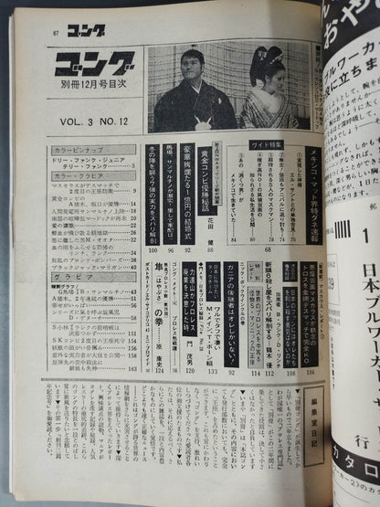 別冊ゴングVol.3 No.12
