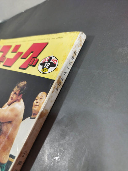 別冊ゴングVol.3 No.12