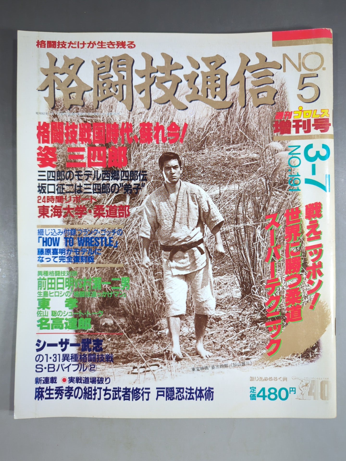 格闘技通信5(週刊プロレス191)