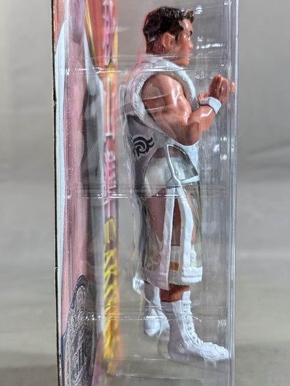Jun Akiyama (White Gown Fighting Pose)