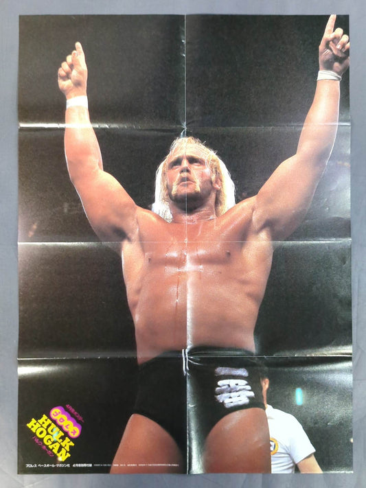 Hulk Hogan  Magazine Appendix Poster