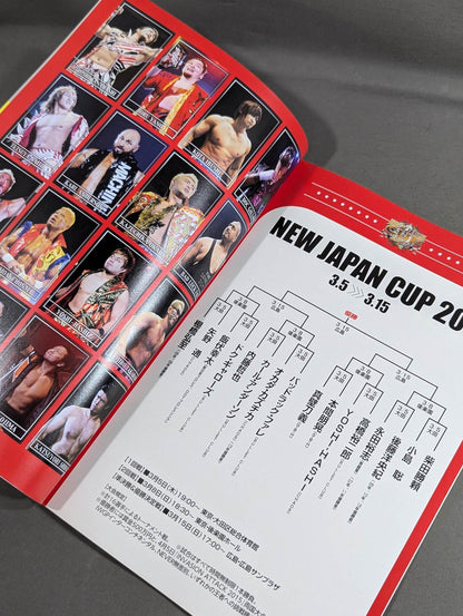 NJPW OFFICIAL MAGAZINE 2015 Vol.2