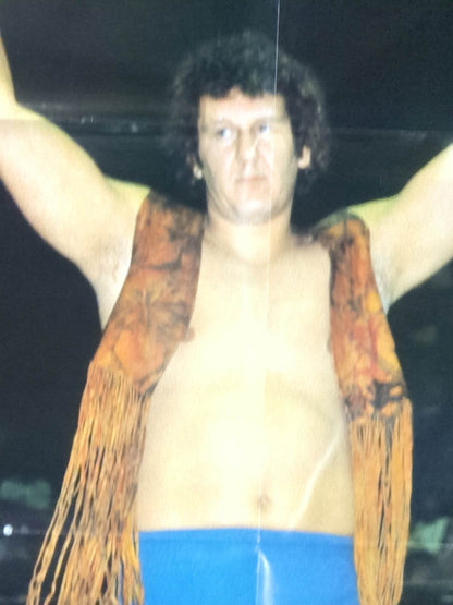 Bob Orton Jr. Magazine Appendix Poster