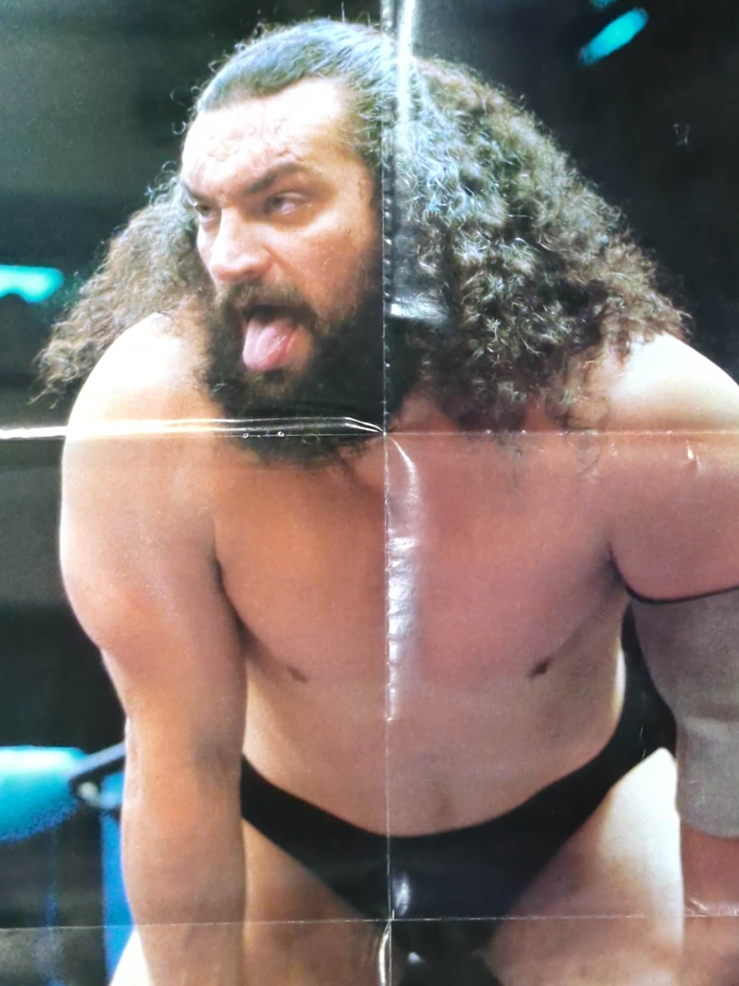 Bruiser Brody  Magazine Appendix Poster