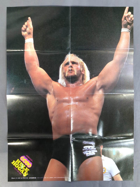 Hulk Hogan  Magazine Appendix Poster