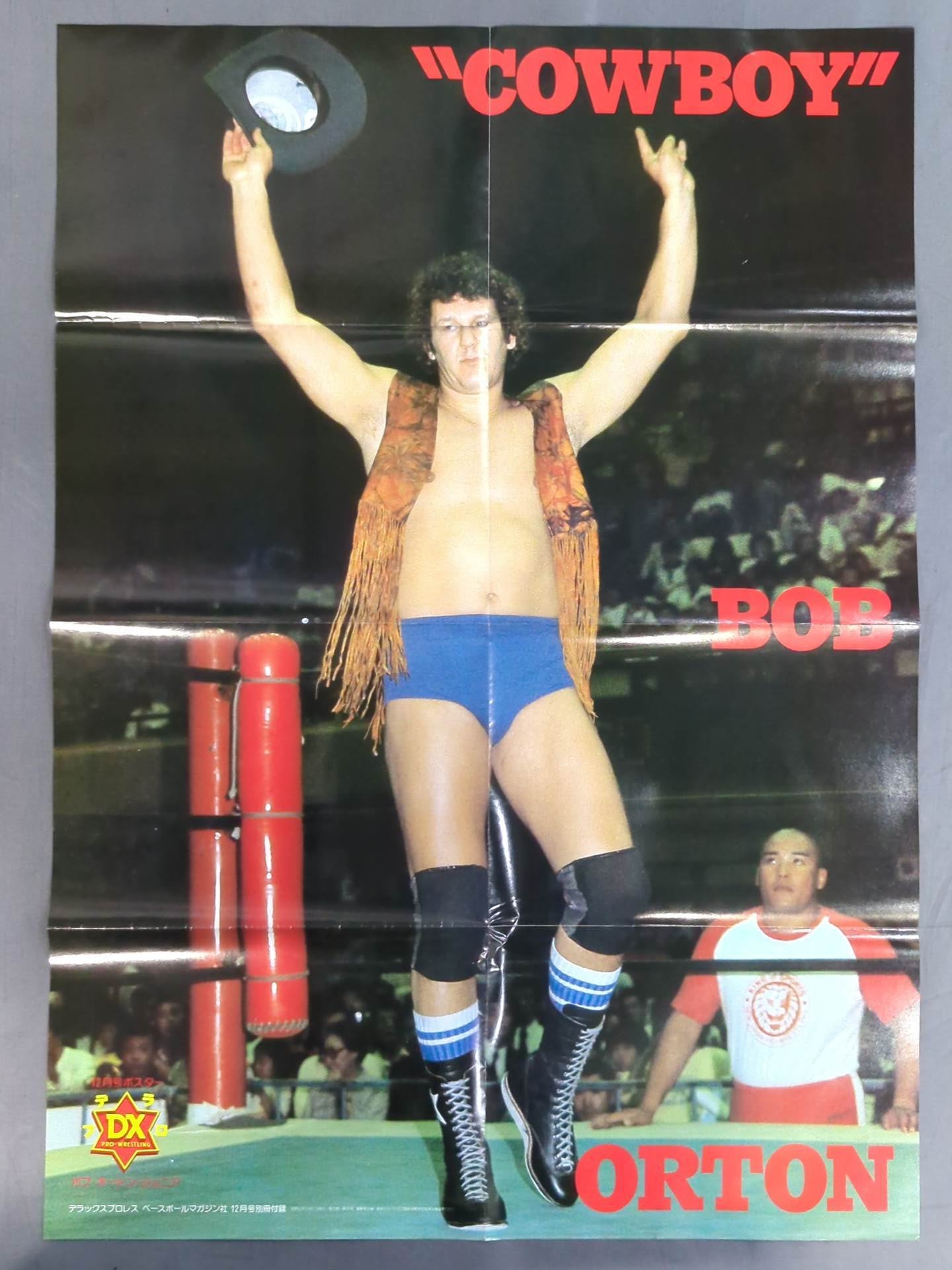 Bob Orton Jr. Magazine Appendix Poster