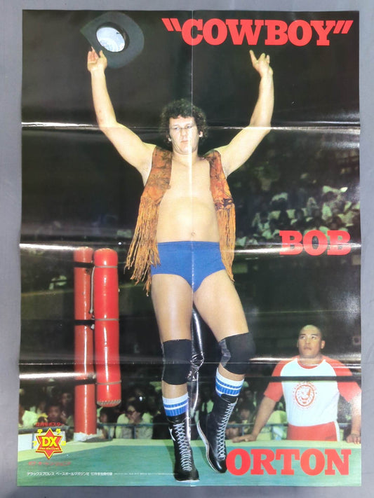 Bob Orton Jr. Magazine Appendix Poster