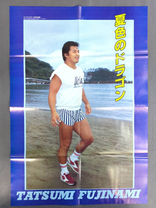 Tatsumi Fujinami  Magazine Appendix Poster