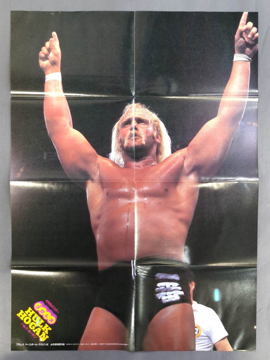 Hulk Hogan  Magazine Appendix Poster