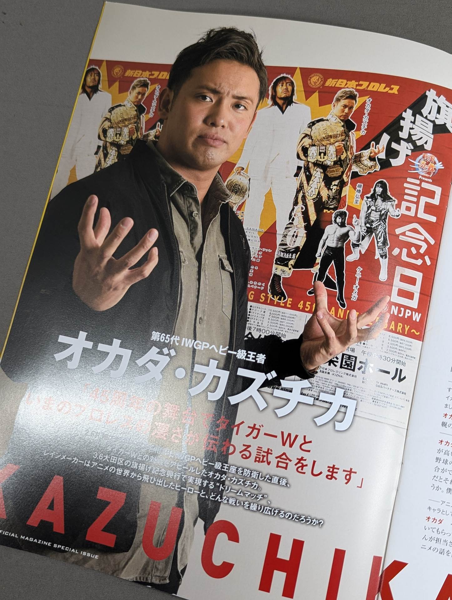 旗揚げ記念日2017 / SPECIAL ISSUE – 闘道館
