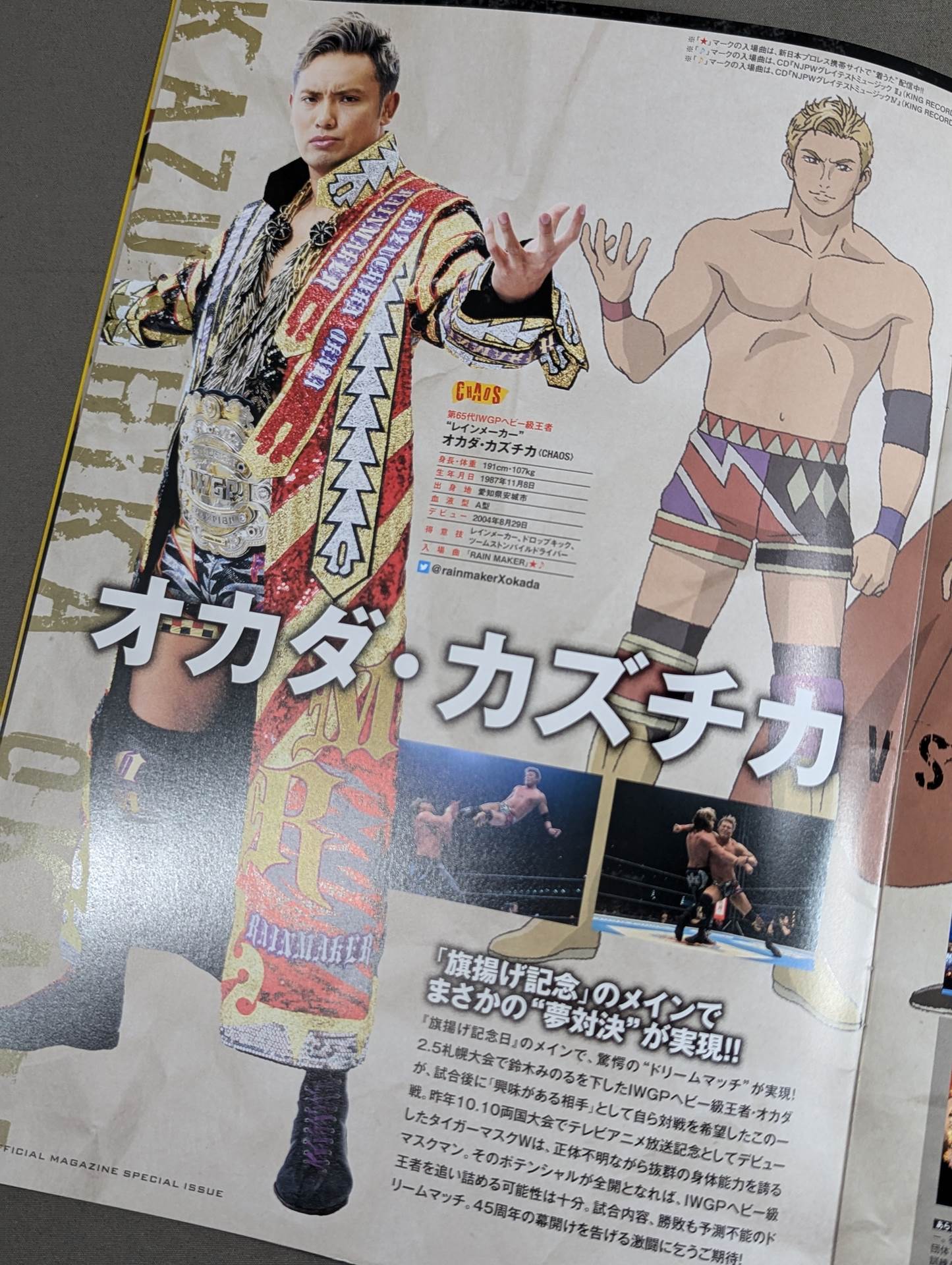 旗揚げ記念日2017 / SPECIAL ISSUE – 闘道館