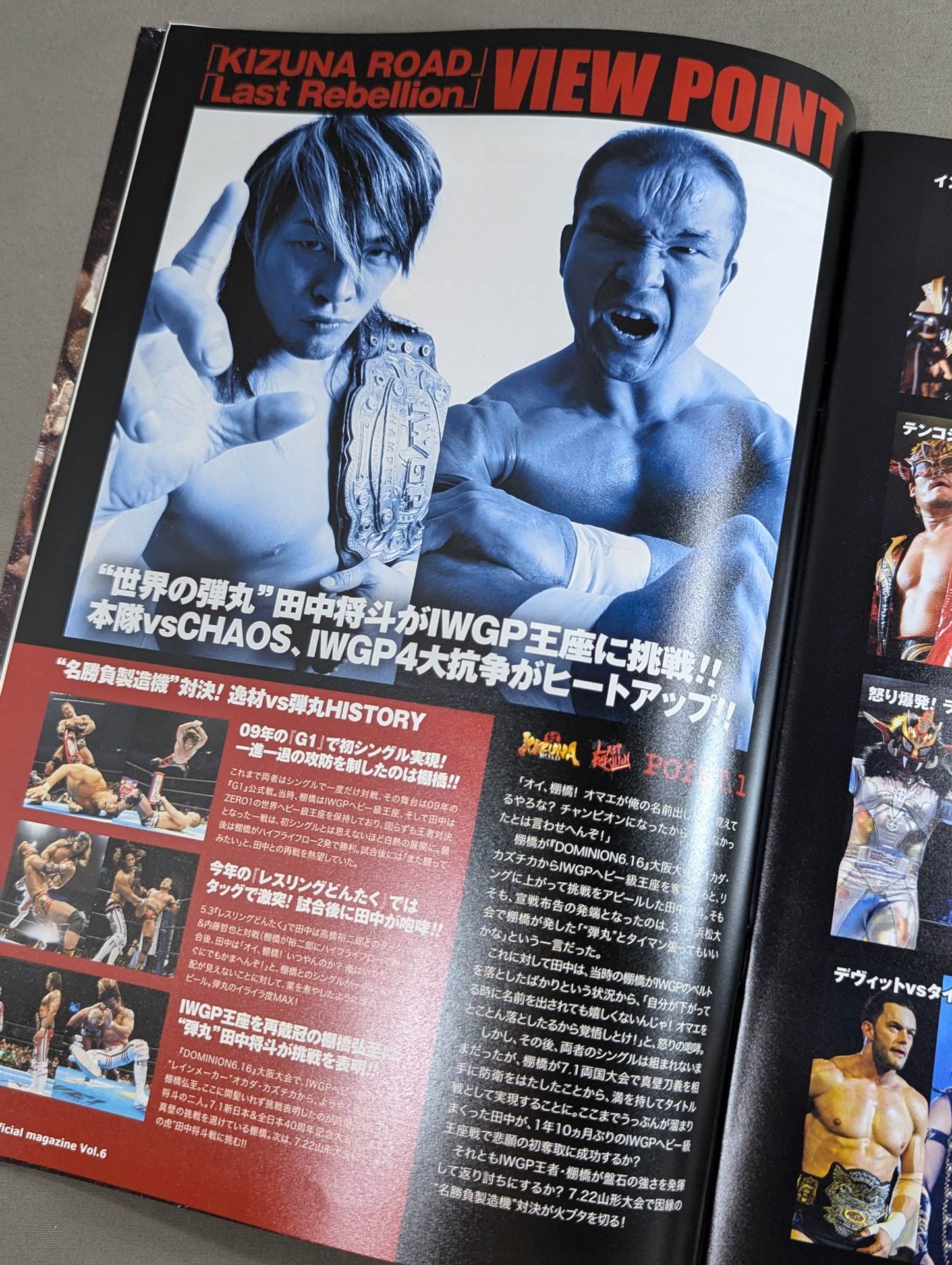 NJPW OFFICIAL MAGAZINE 2012 Vol.6