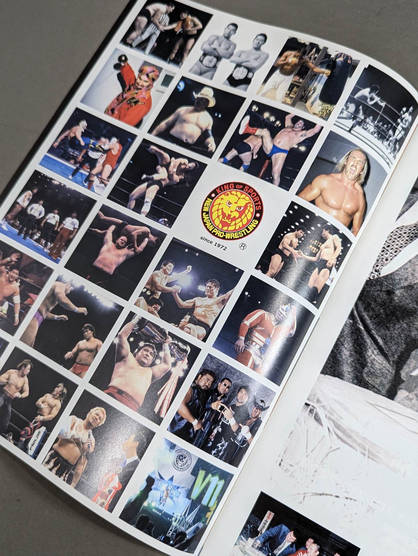 ★旗揚げ記念日★ NJPW OFFICIAL MAGAZINE 2012 Vol.2