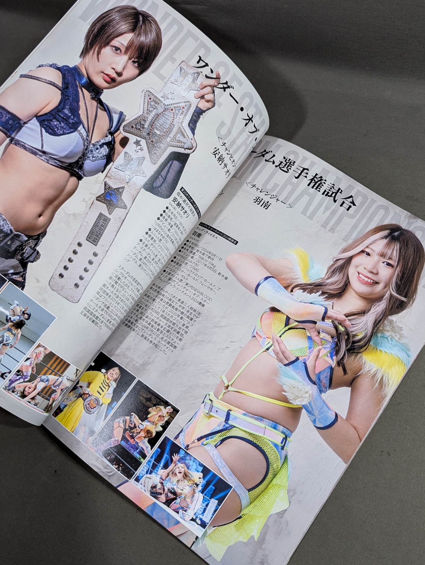 STARDOM OFFICIAL GUIDE BOOK Vol.151