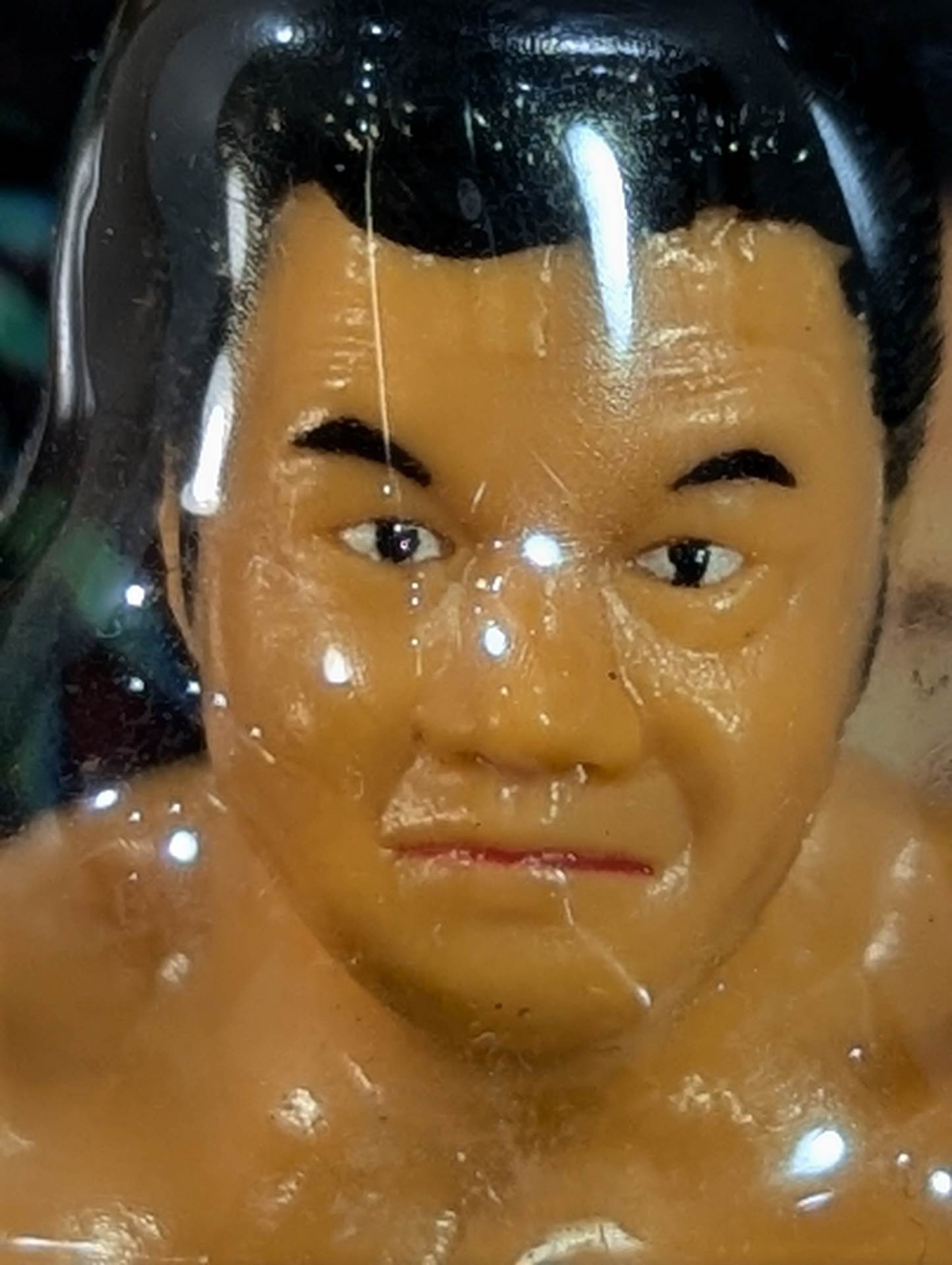 藤波辰爾