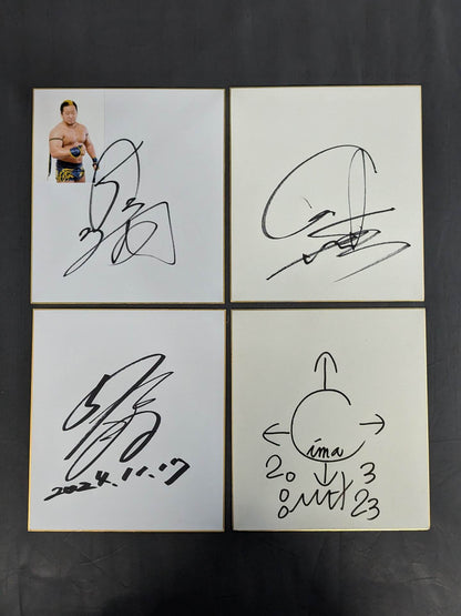 国内プロレスラー サイン色紙セット③