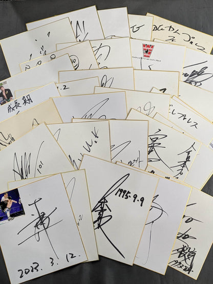 国内プロレスラー サイン色紙セット④