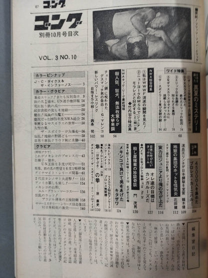 別冊ゴングVol.3 No.10