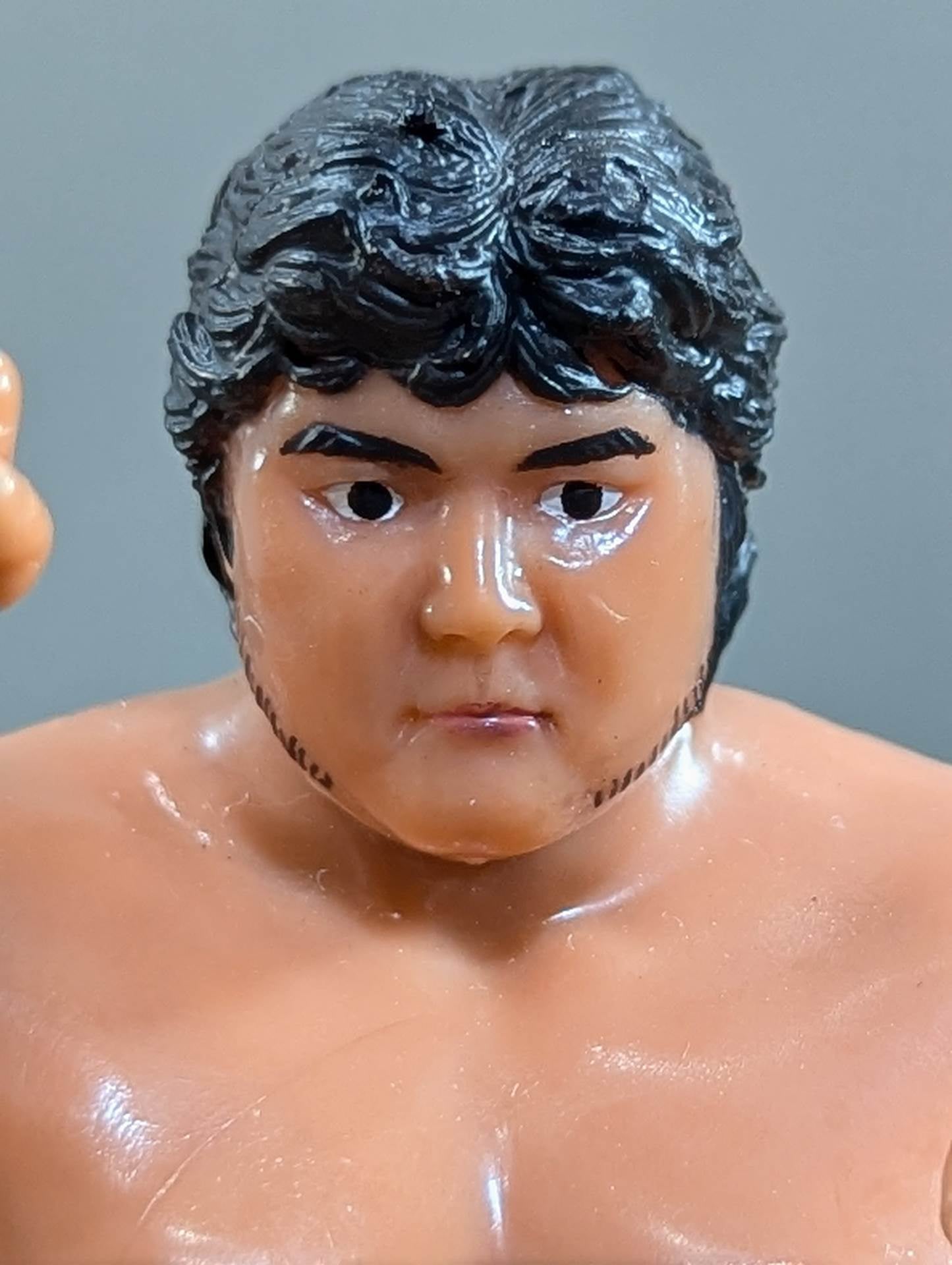 橋本真也(構え)