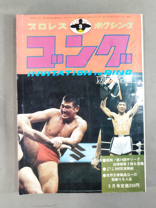 Monthly Gong Vol.5 No.3