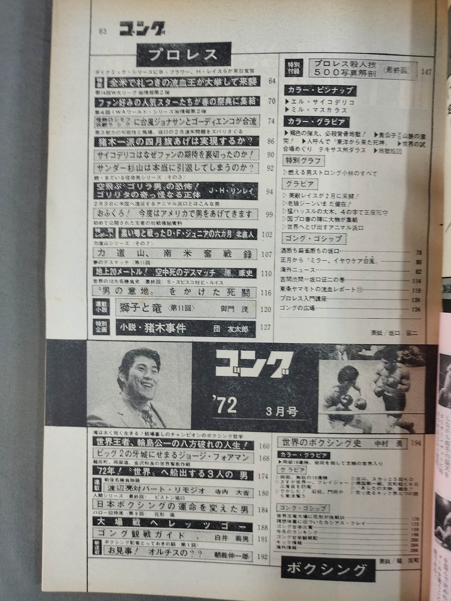 月刊ゴングVol.5 No.3