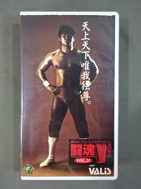 闘魂Vスペシャル Vol.21