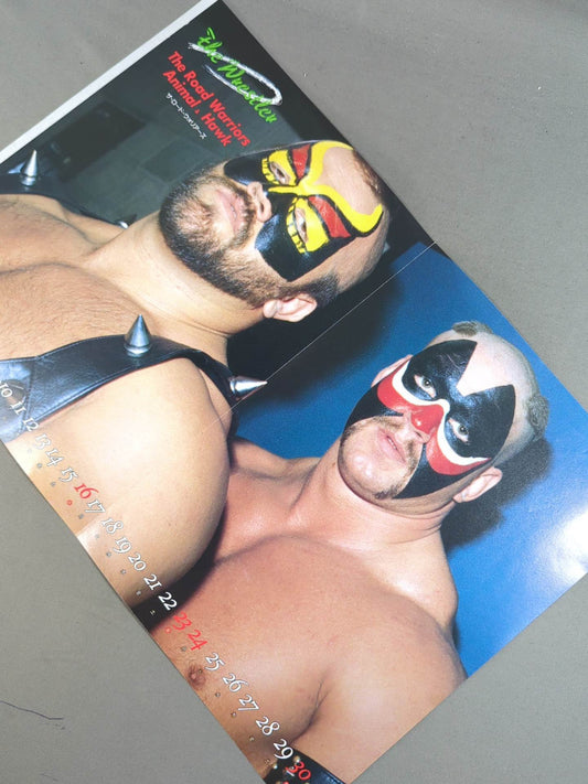 The Road Warriors Magazine Appendix Pin-Up (2)