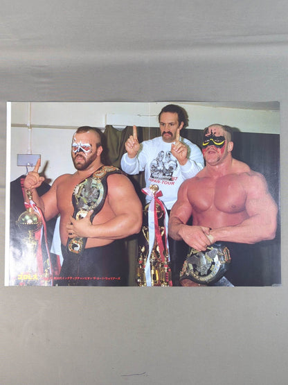 The Road Warriors Magazine Appendix Pin-Up (3)