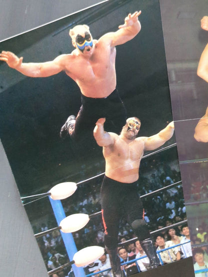The Road Warriors Magazine Appendix Pin-Up Set