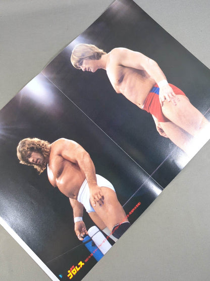 Bruiser Brody  Magazine Appendix Pin-Ups(1)