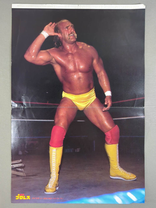 Hulk Hogan  Magazine Appendix Pin-Ups (1)