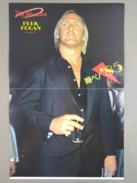 Hulk Hogan  Magazine Appendix Pin-Ups(2)