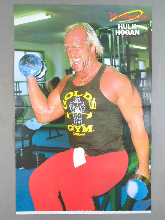 Hulk Hogan  Magazine Appendix Pin-Ups(3)