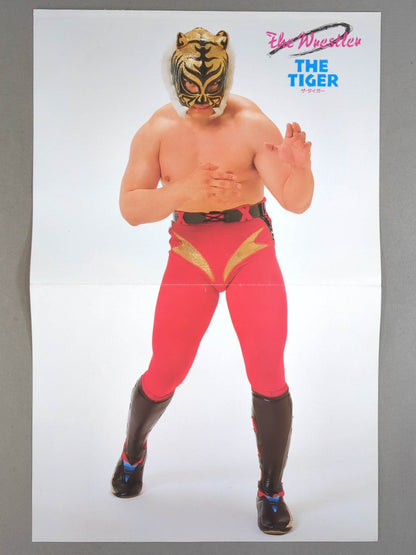 Hulk Hogan  Magazine Appendix Pin-Ups(3)