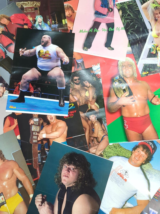 Foreign wrestlers visiting Japan Magazine appendix pin-up set