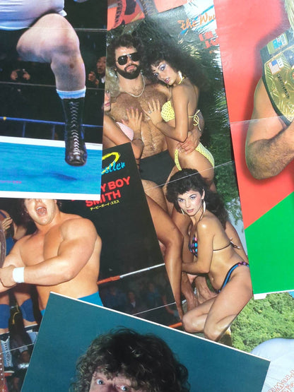 Foreign wrestlers visiting Japan Magazine appendix pin-up set