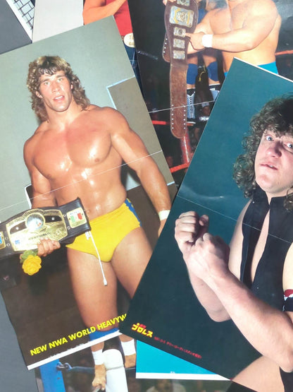 Foreign wrestlers visiting Japan Magazine appendix pin-up set