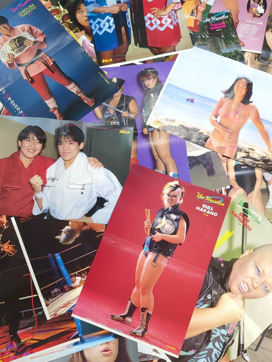 Women's pro wrestler magazine appendix pin-up set
