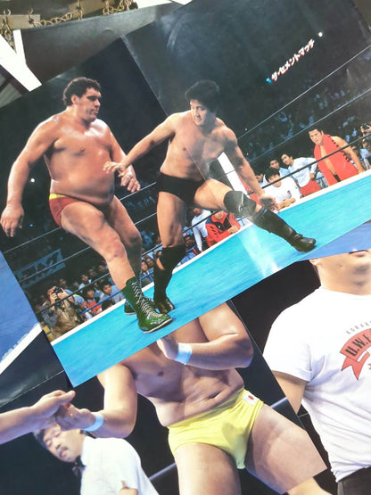 Men's pro wrestler magazine appendix pin-up set