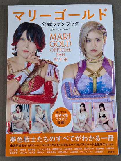 Marigold Official Fanbook